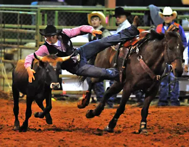 Troy Rodeo Opens Trojan Stampede Image