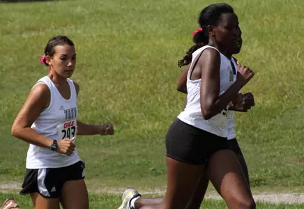 Trojans Travel to Gulf Coast Stampede Image