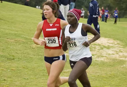 Cross Country Teams Set Standard Image