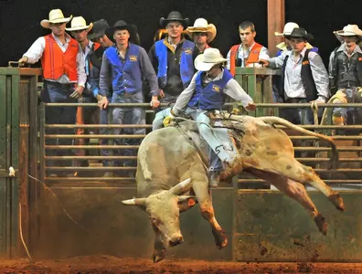 2010 Trojan Stampede