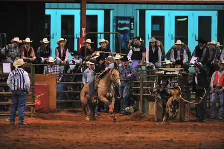 Calf Roping