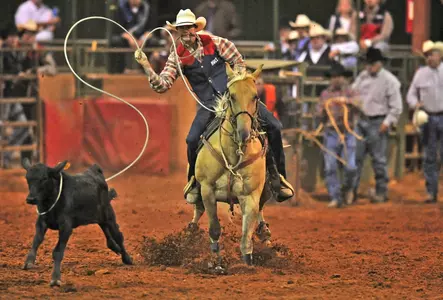 Troy Rodeo Heading to National Finals Image