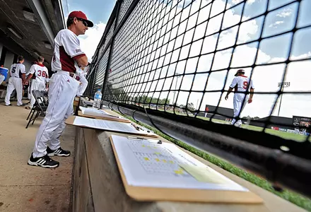 Walk-Off Drops Troy, 9-8 Image