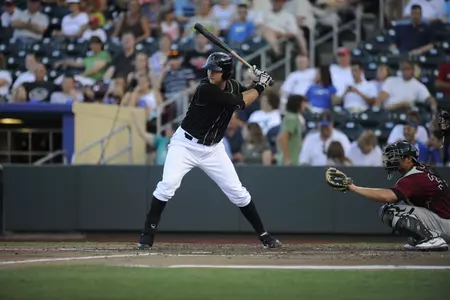 Robinson River Cats