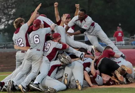Dogpile