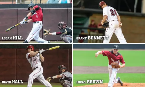 all sun belt