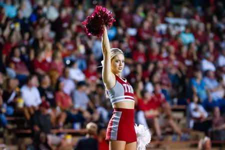 Cheer