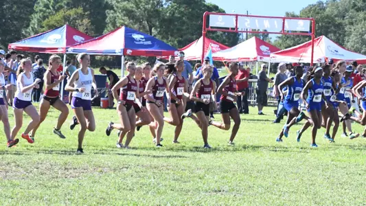 Start Azalea 09072018