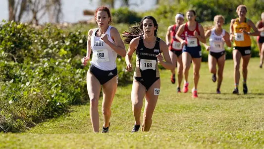 Rowe XC