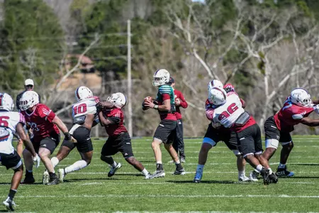 Troy Spring Football