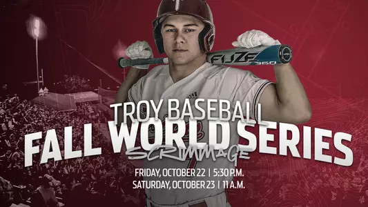 World Series graphic