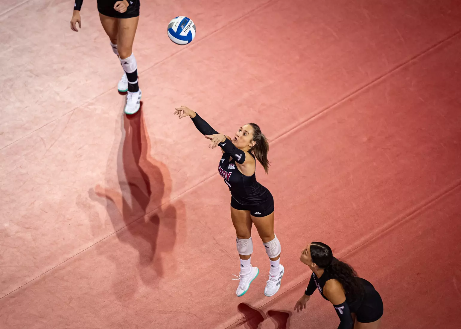 2023 Troy VB vs. Alabama _ Chris Davis