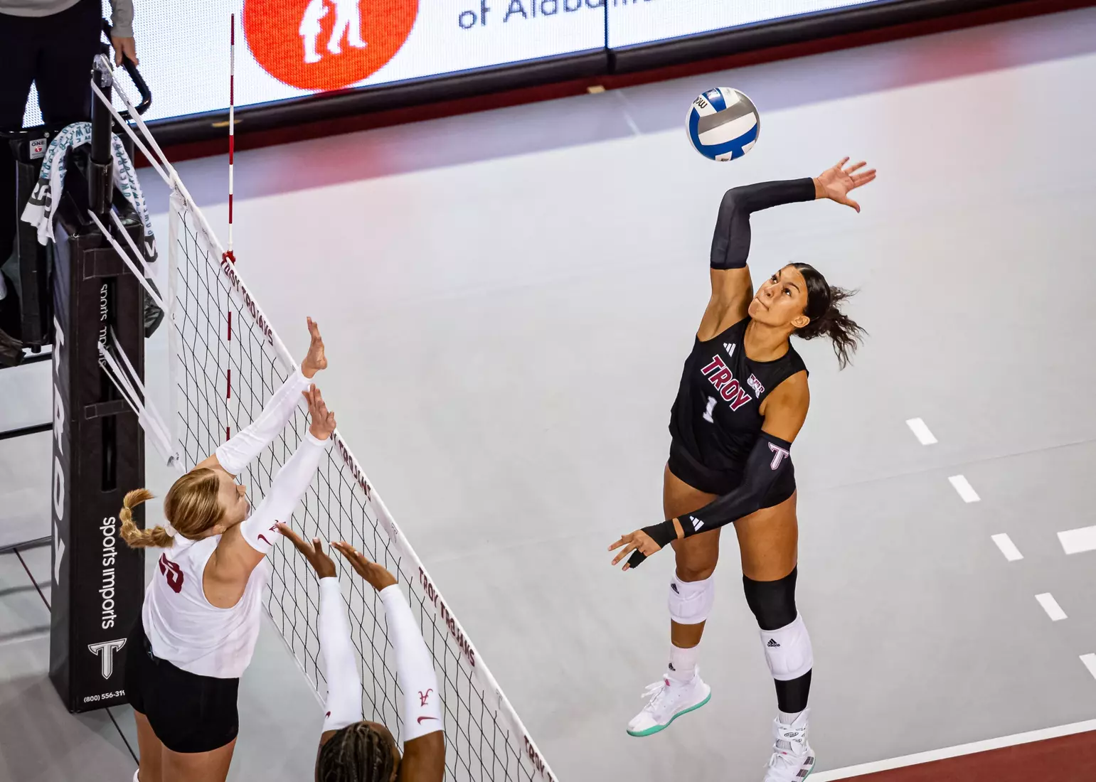 2023 Troy VB vs. Alabama _ Chris Davis