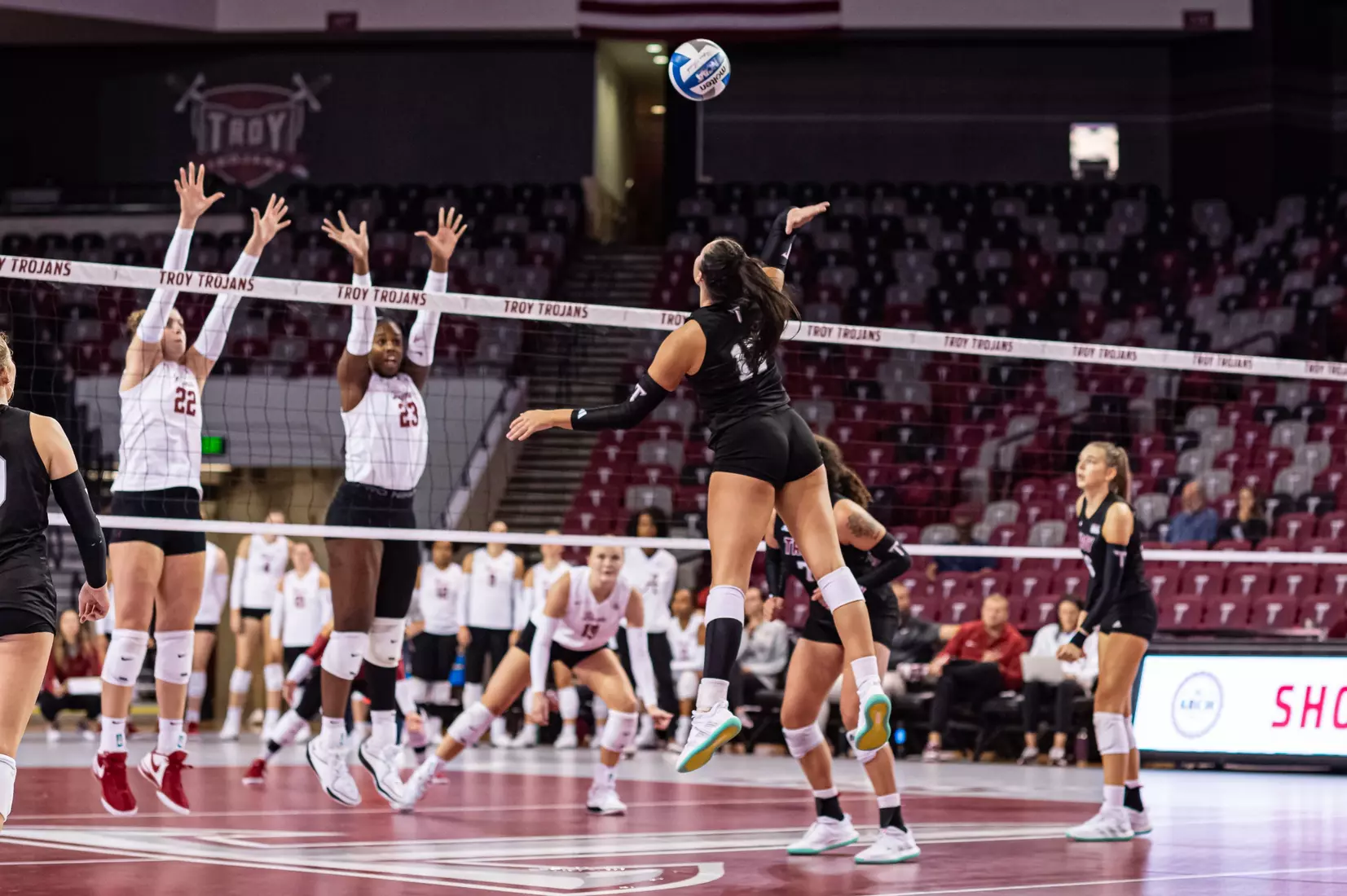 2023 Troy VB vs. Alabama _ Chris Davis