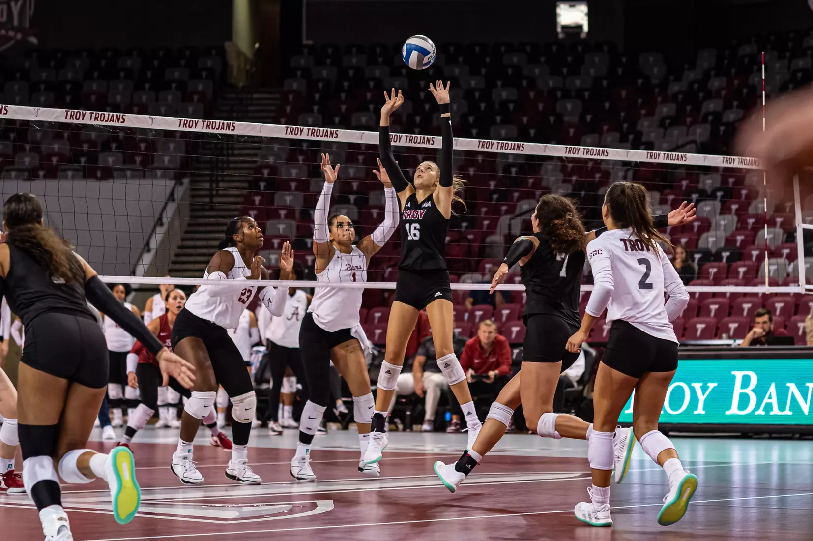 2023 Troy VB vs. Alabama _ Chris Davis