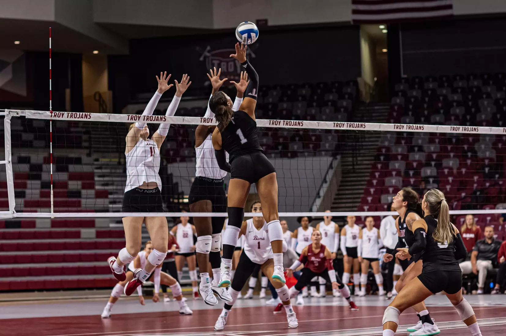 2023 Troy VB vs. Alabama _ Chris Davis