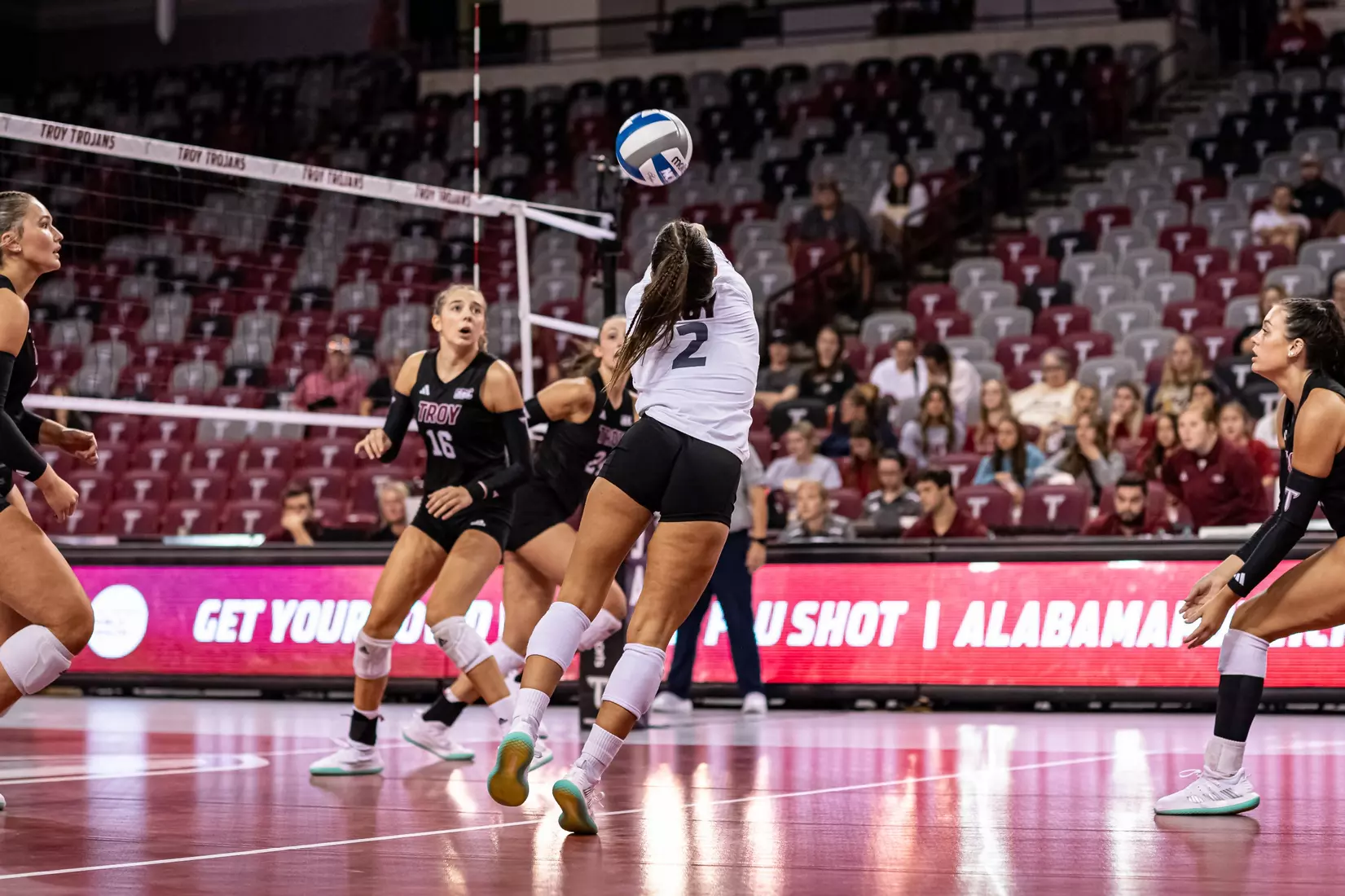 2023 Troy VB vs. Alabama _ Chris Davis