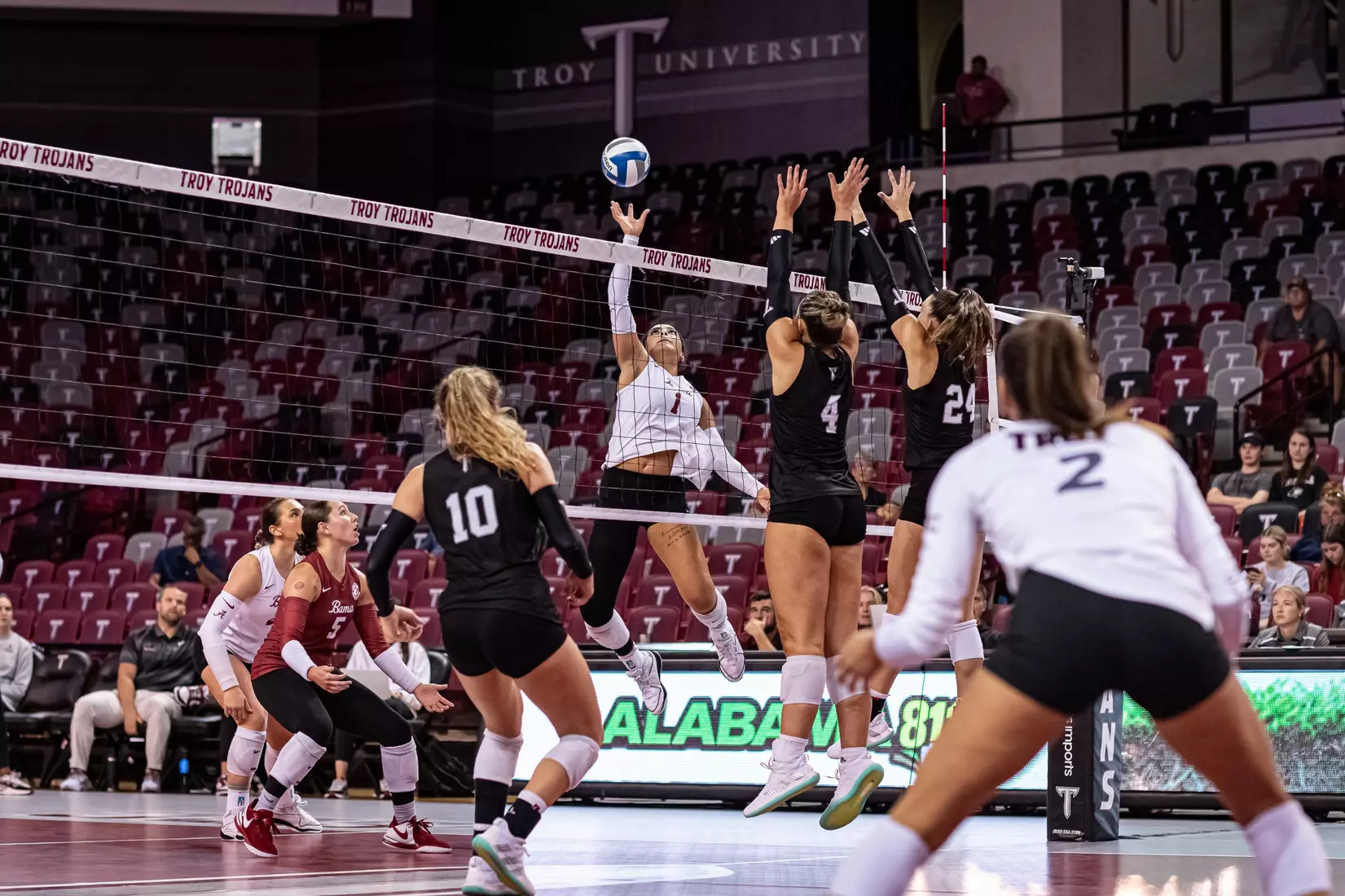 2023 Troy VB vs. Alabama _ Chris Davis