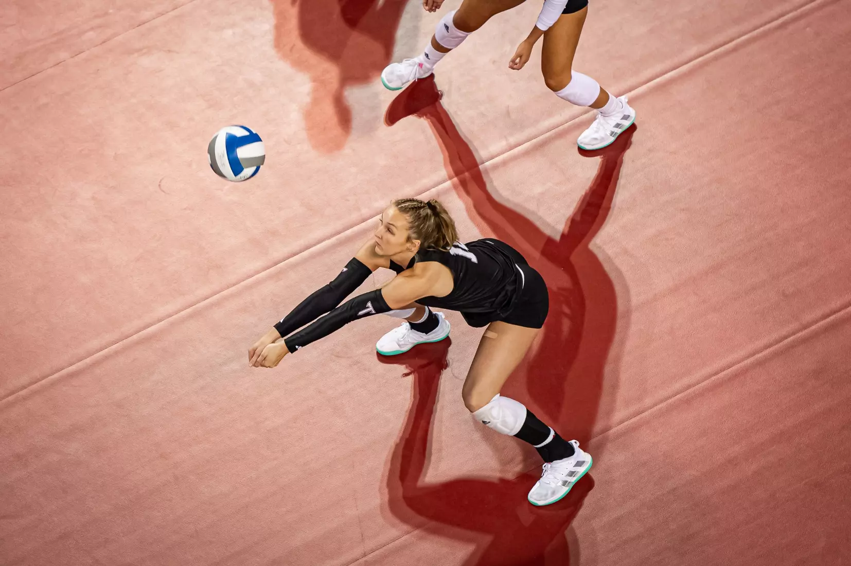 2023 Troy VB vs. Alabama _ Chris Davis