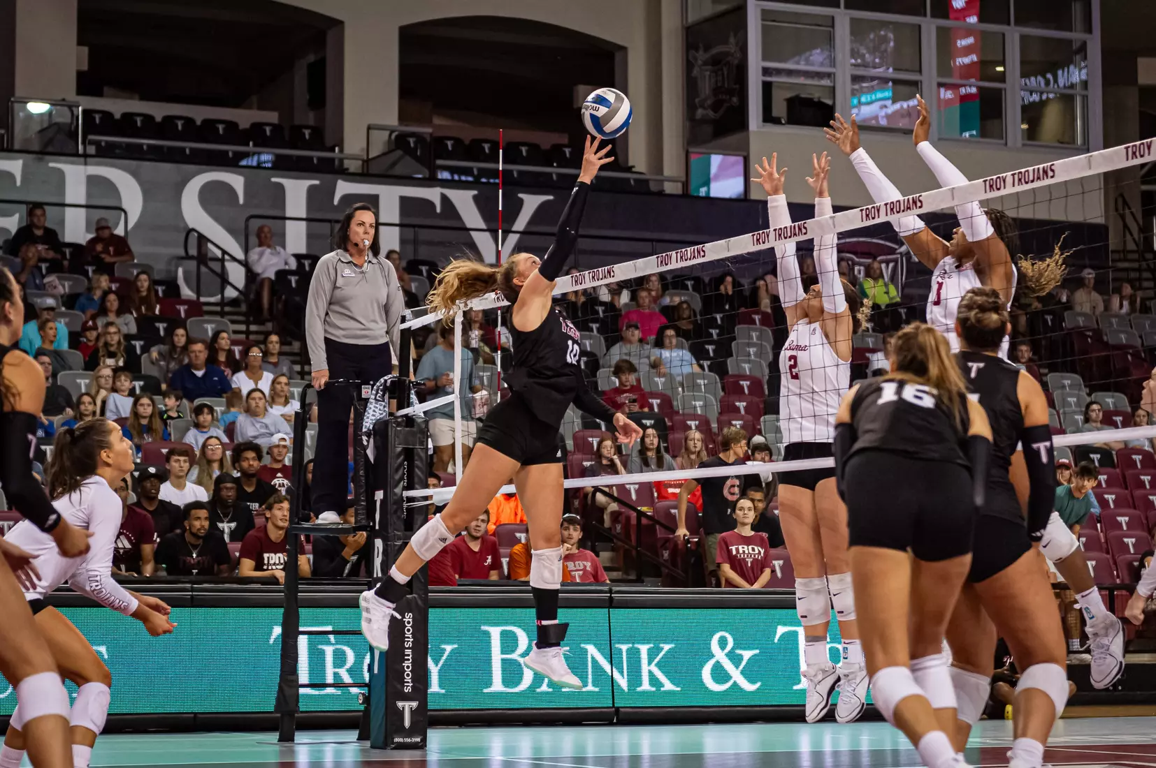 2023 Troy VB vs. Alabama _ Chris Davis