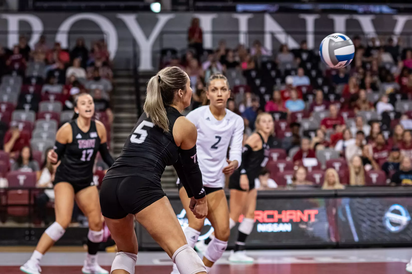 2023 Troy VB vs. Alabama _ Chris Davis