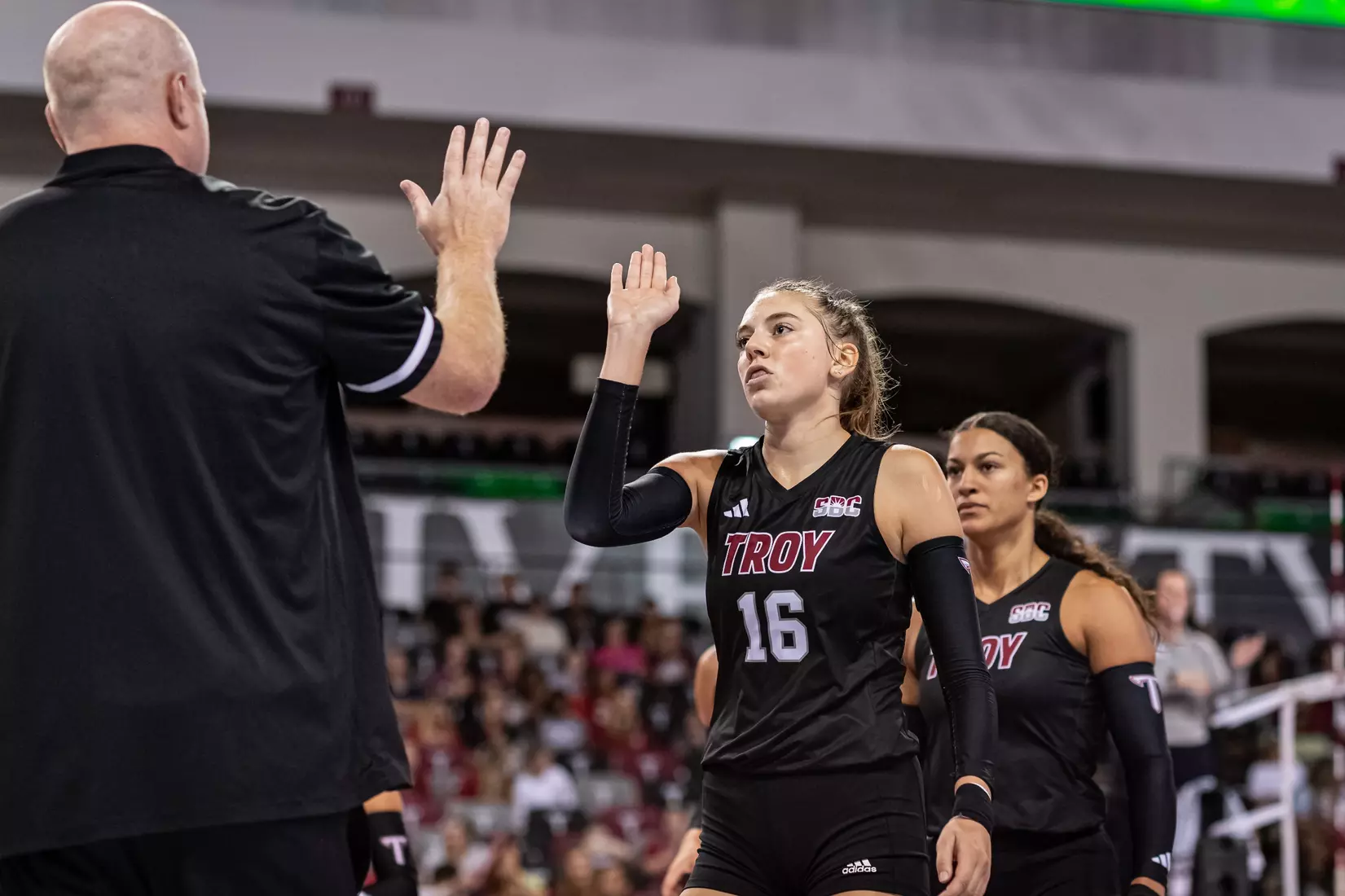 2023 Troy VB vs. Alabama _ Chris Davis