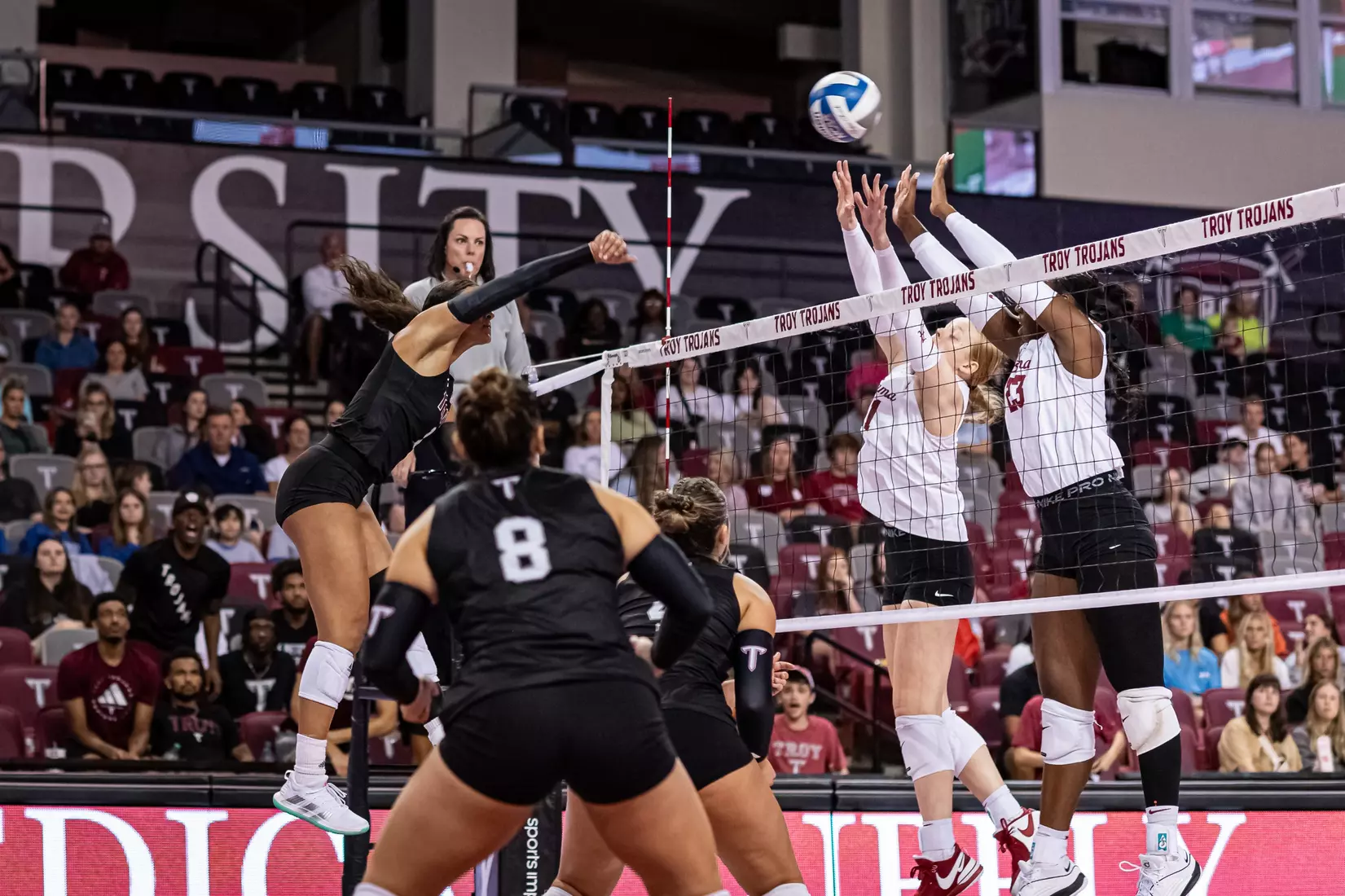 2023 Troy VB vs. Alabama _ Chris Davis