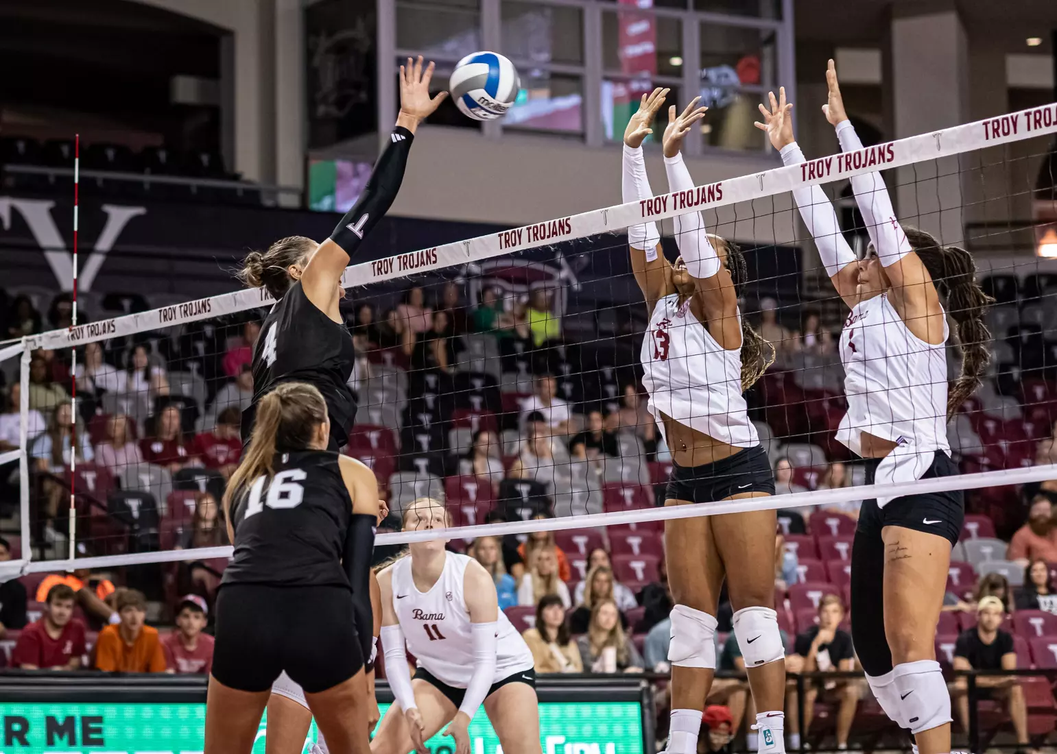 2023 Troy VB vs. Alabama _ Chris Davis