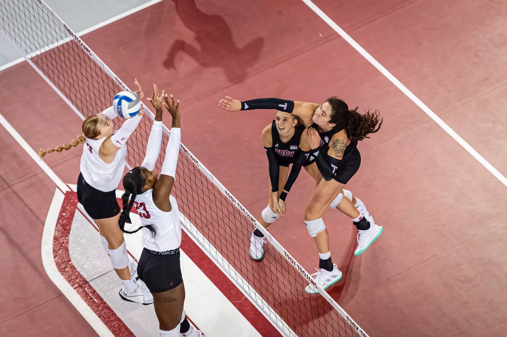 2023 Troy VB vs. Alabama _ Chris Davis