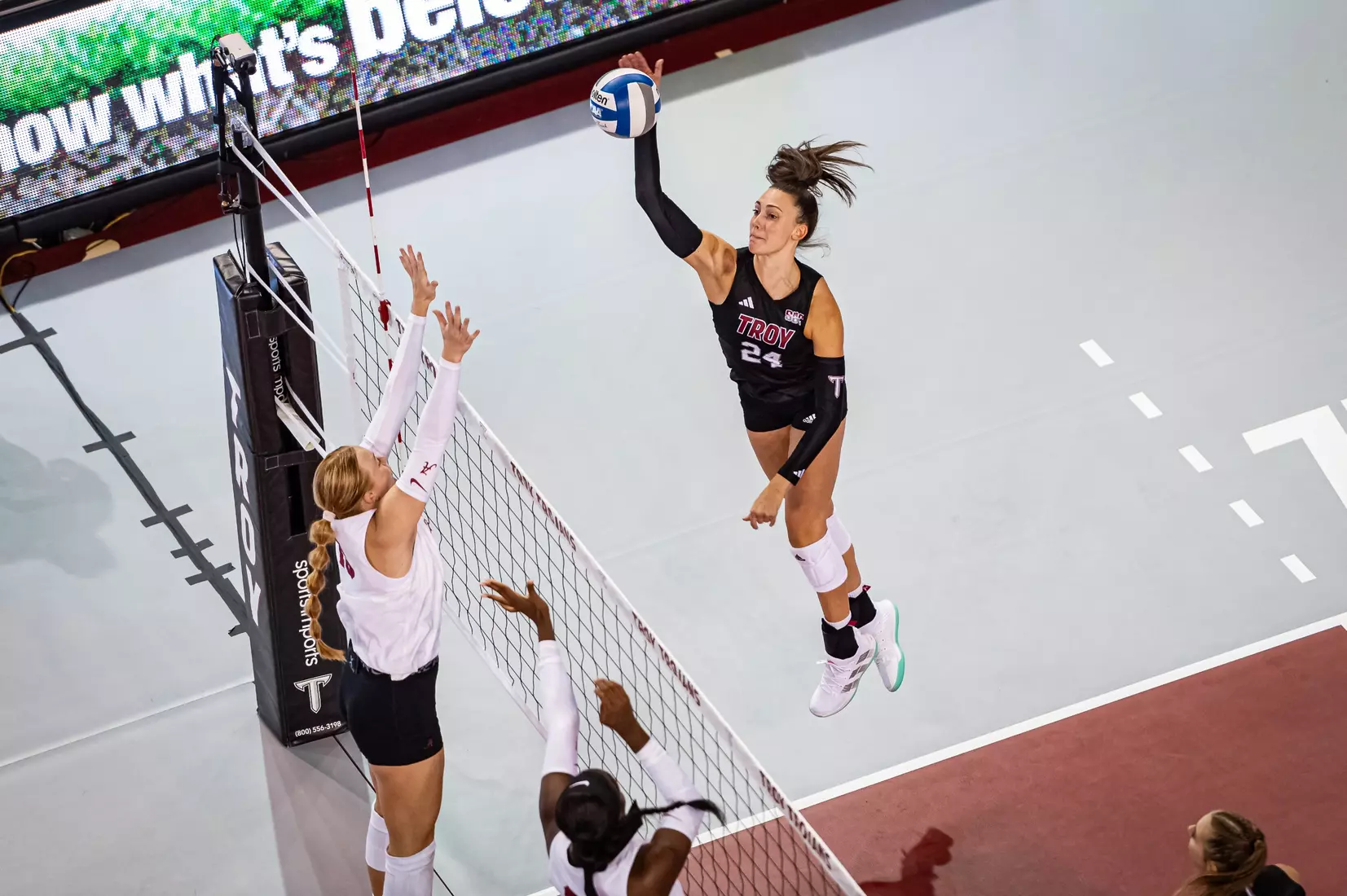 2023 Troy VB vs. Alabama _ Chris Davis