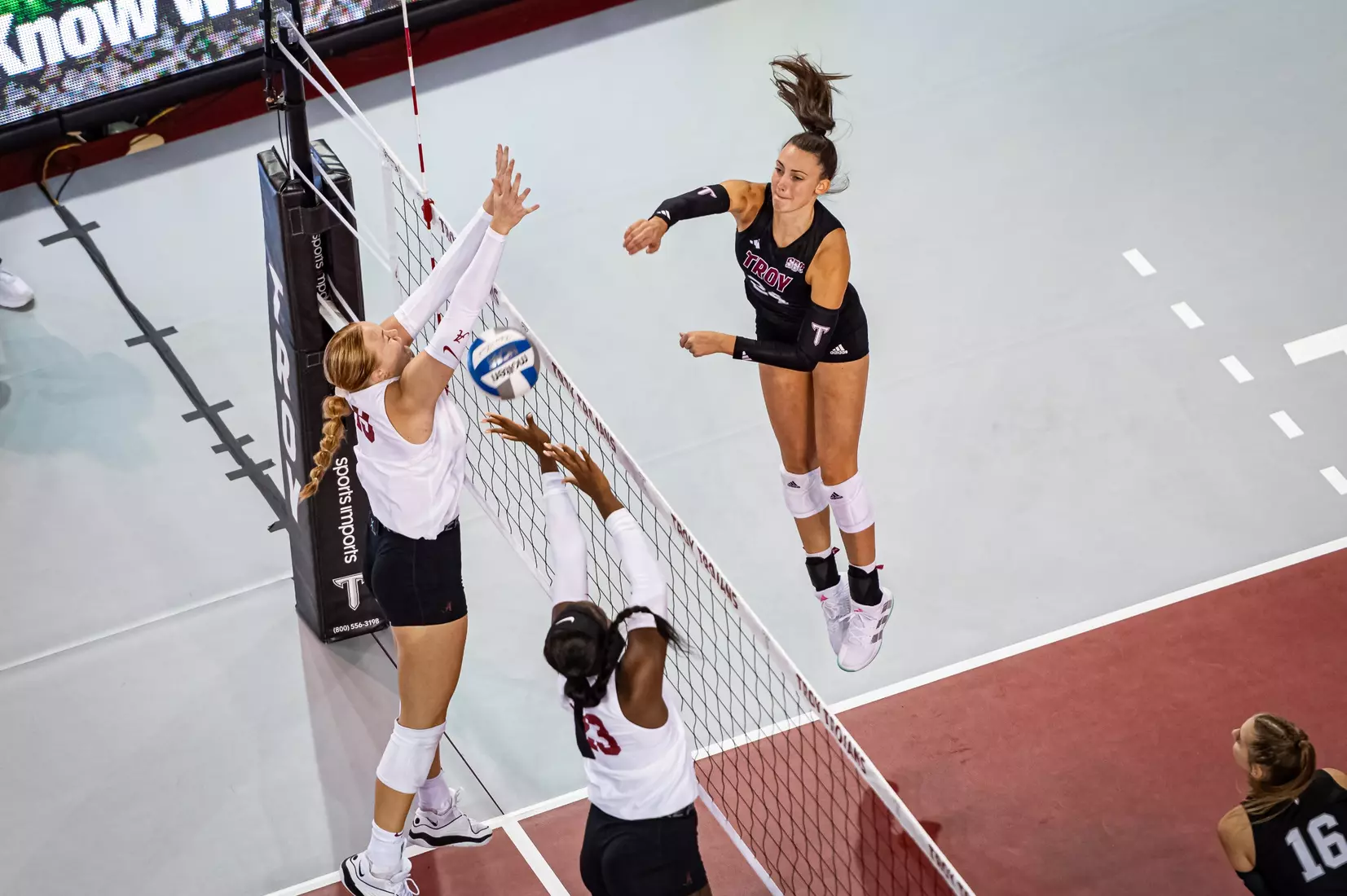 2023 Troy VB vs. Alabama _ Chris Davis