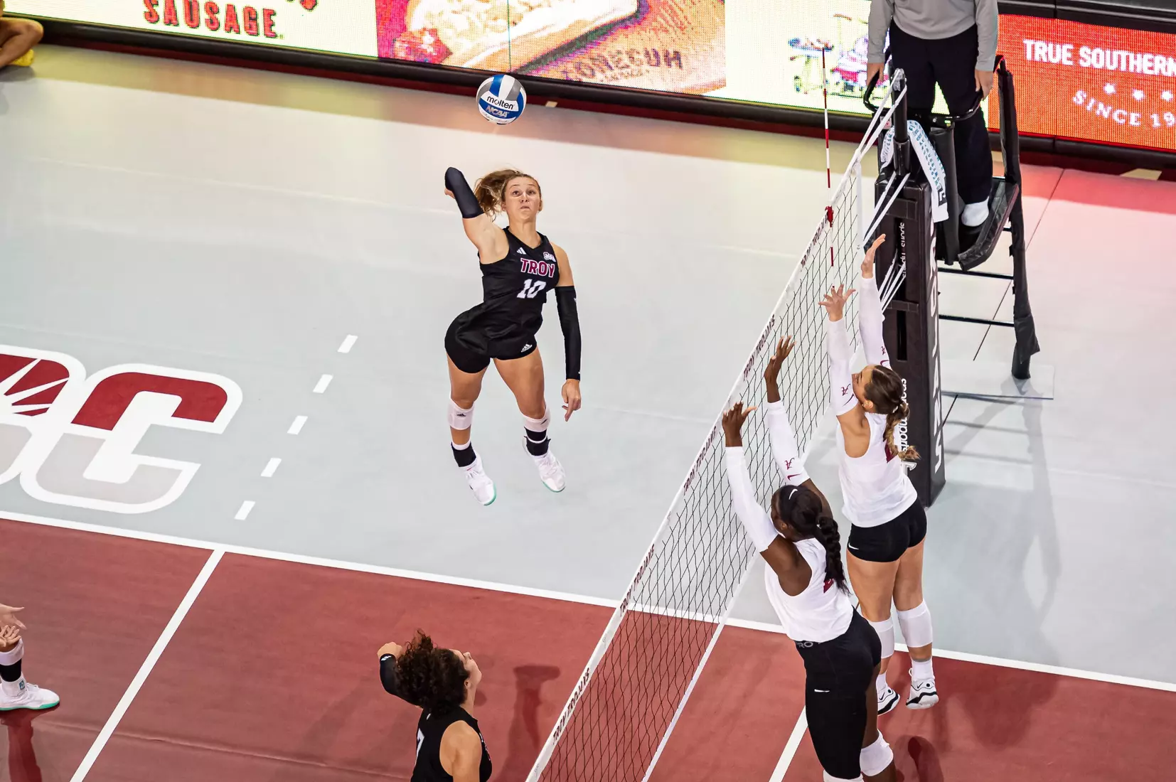 2023 Troy VB vs. Alabama _ Chris Davis