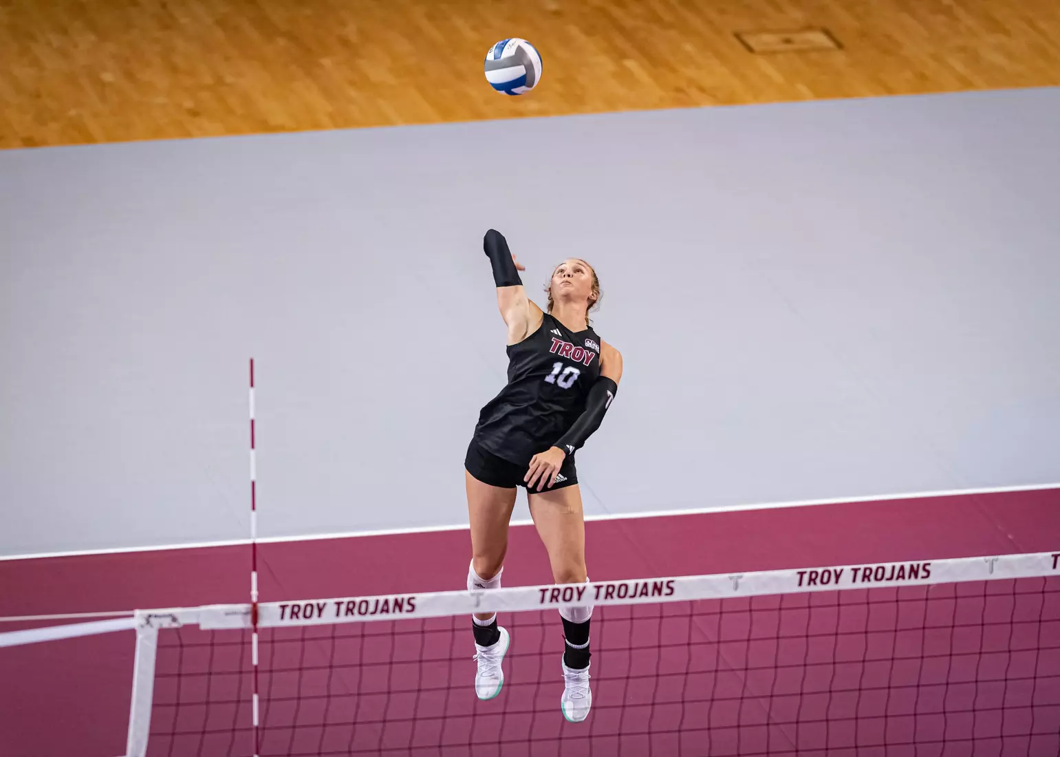 2023 Troy VB vs. Alabama _ Chris Davis