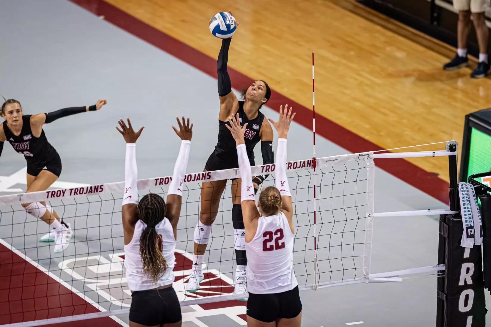 2023 Troy VB vs. Alabama _ Chris Davis