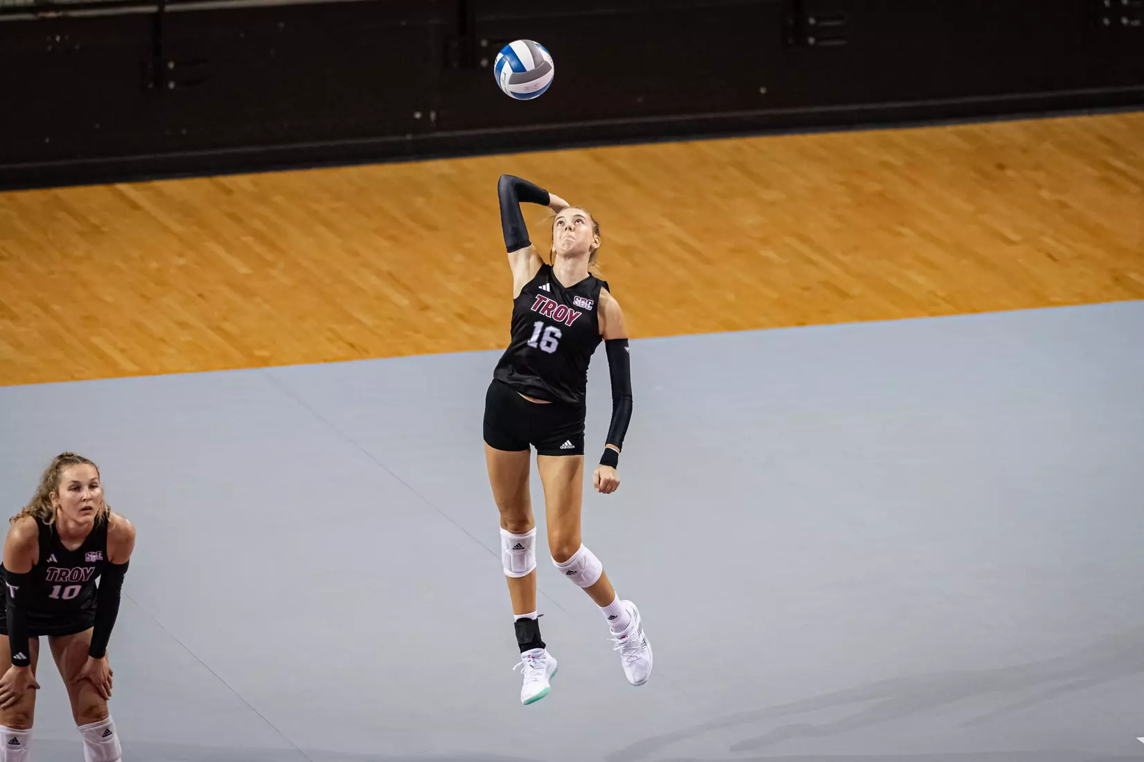 2023 Troy VB vs. Alabama _ Chris Davis