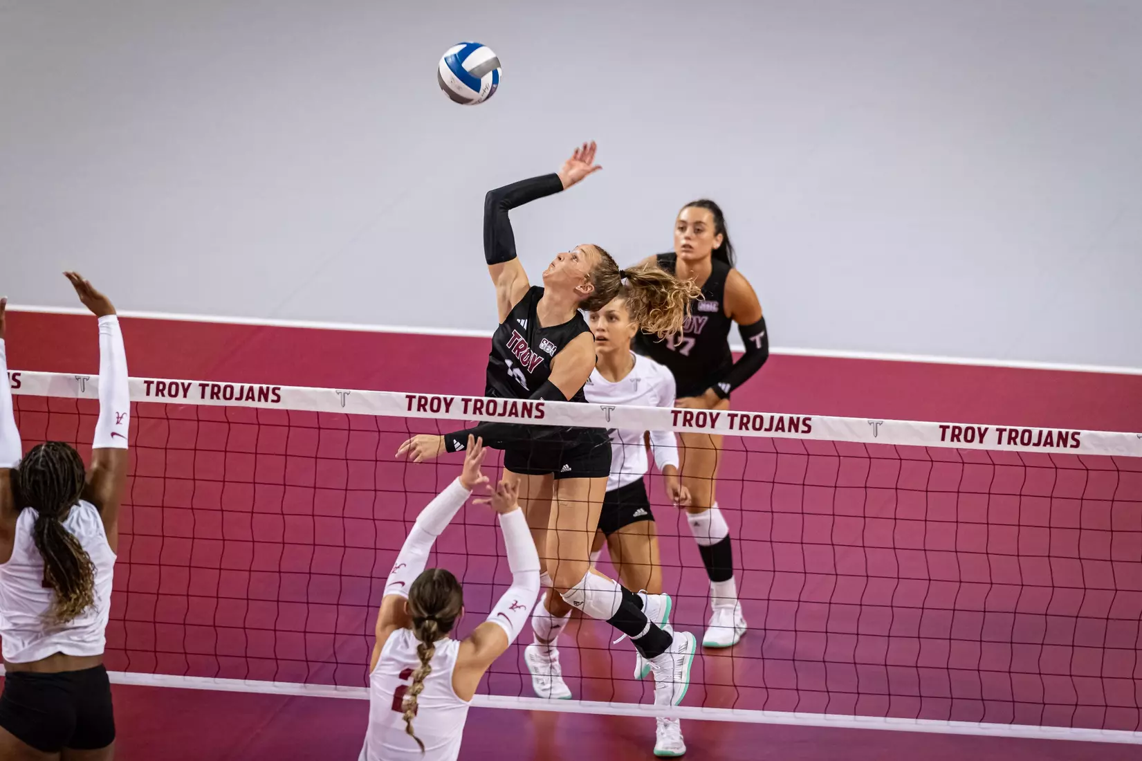 2023 Troy VB vs. Alabama _ Chris Davis