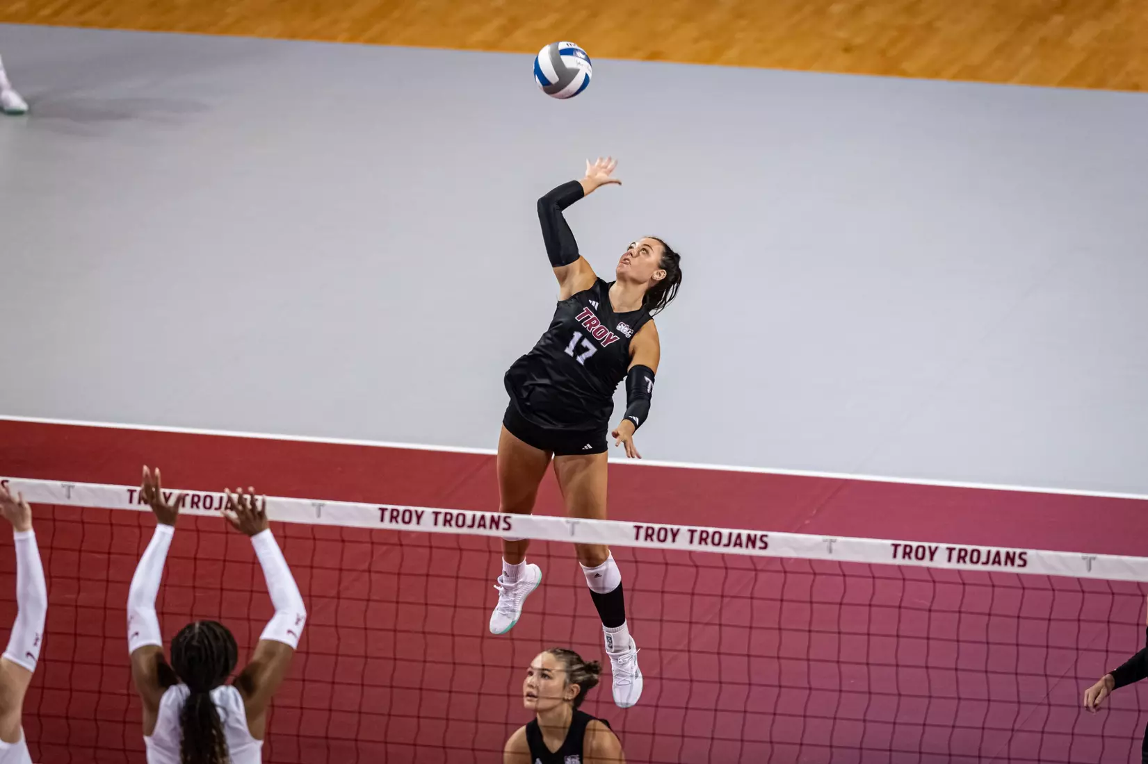 2023 Troy VB vs. Alabama _ Chris Davis