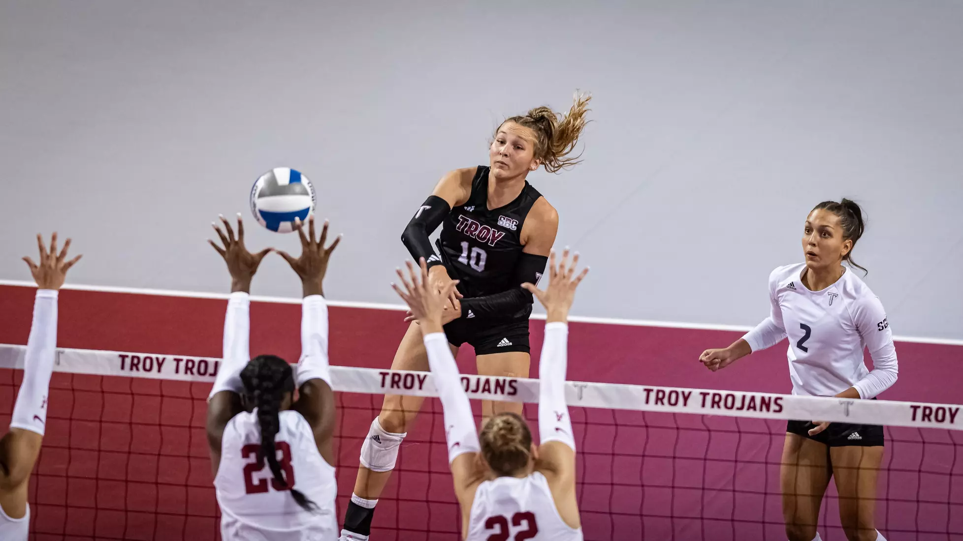 2023 Troy VB vs. Alabama _ Chris Davis