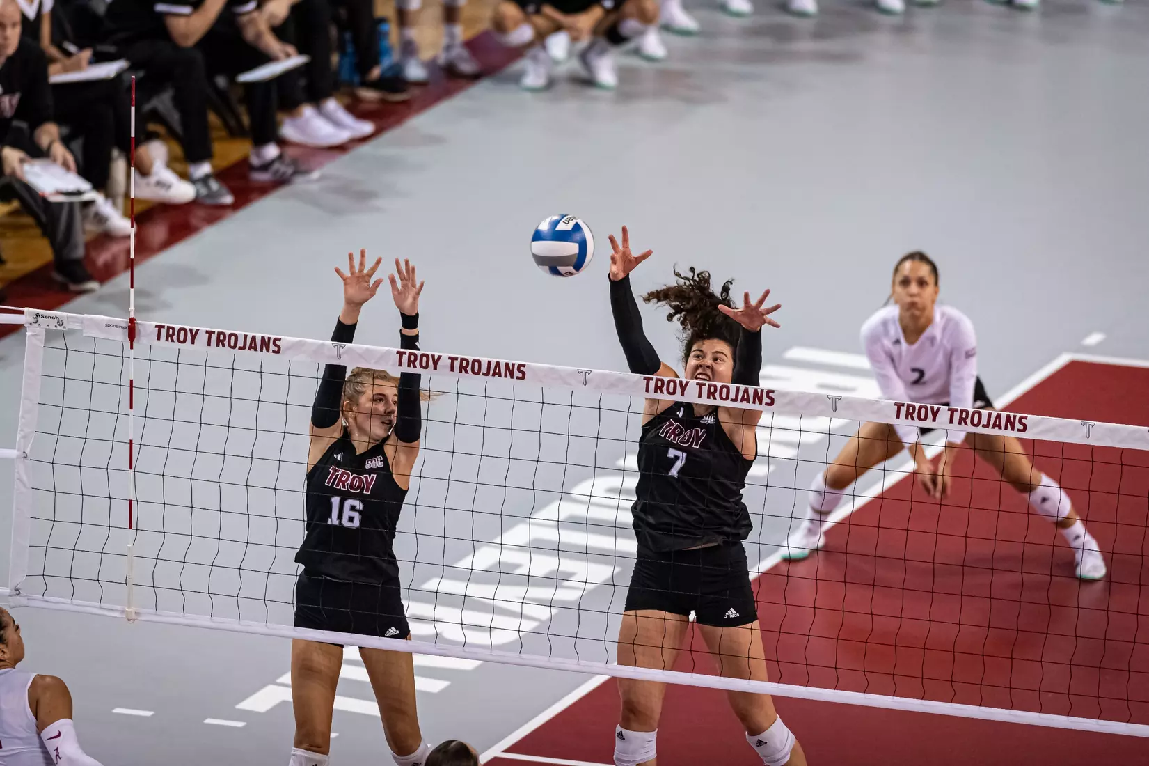 2023 Troy VB vs. Alabama _ Chris Davis