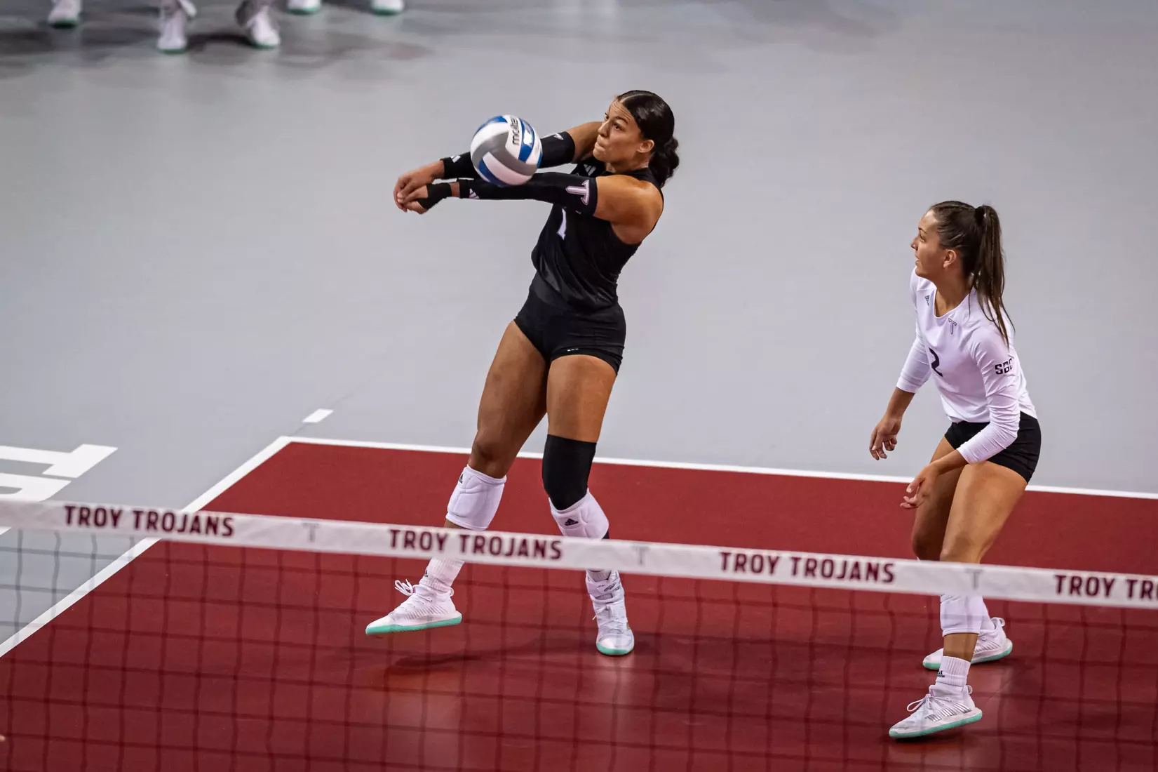 2023 Troy VB vs. Alabama _ Chris Davis