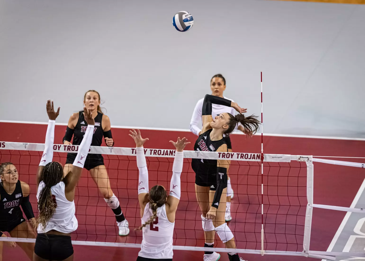 2023 Troy VB vs. Alabama _ Chris Davis