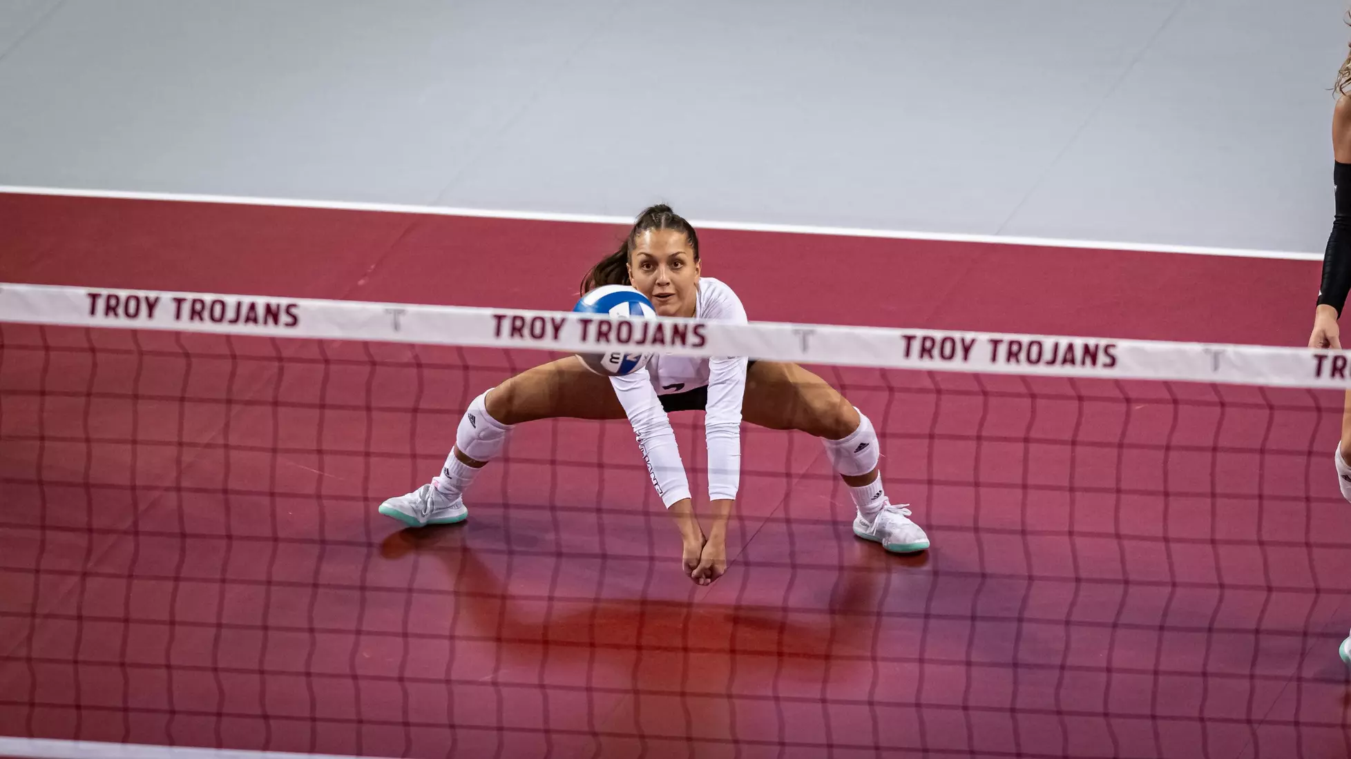 2023 Troy VB vs. Alabama _ Chris Davis