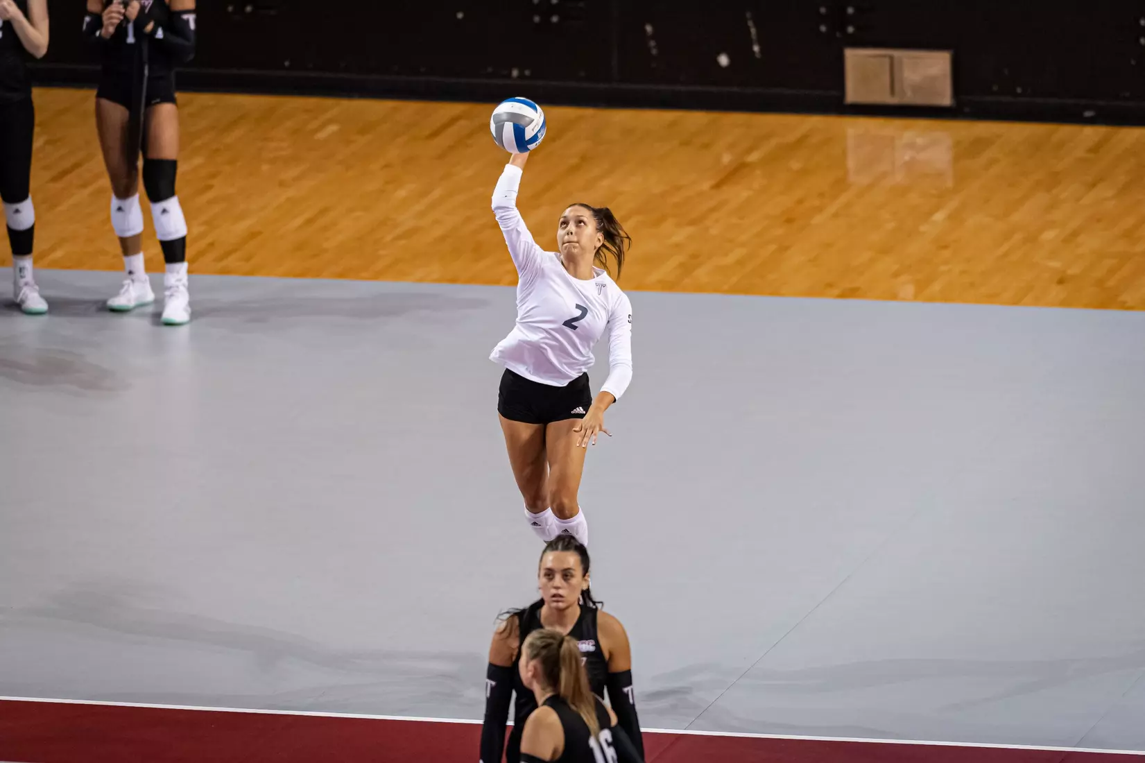 2023 Troy VB vs. Alabama _ Chris Davis