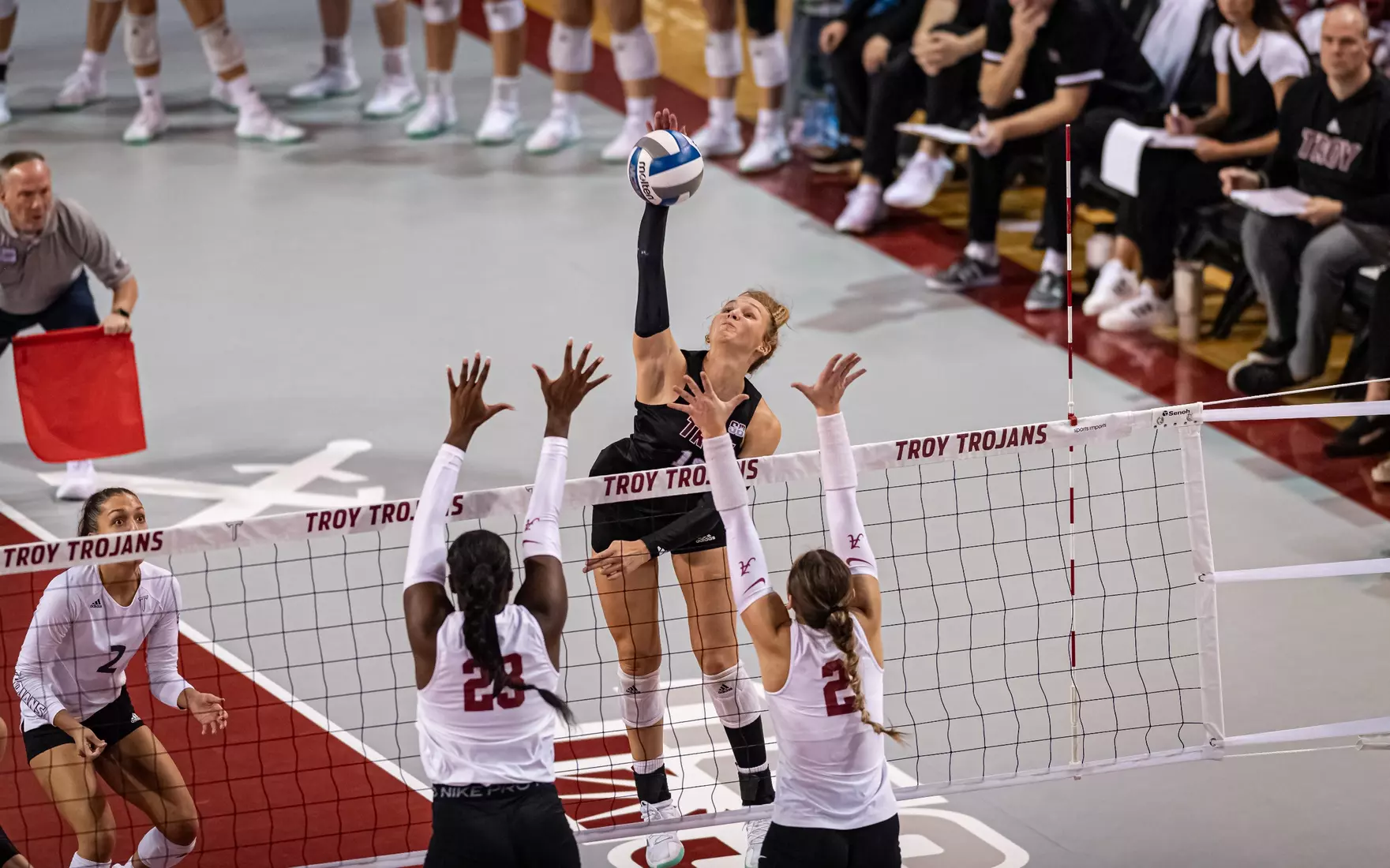 2023 Troy VB vs. Alabama _ Chris Davis