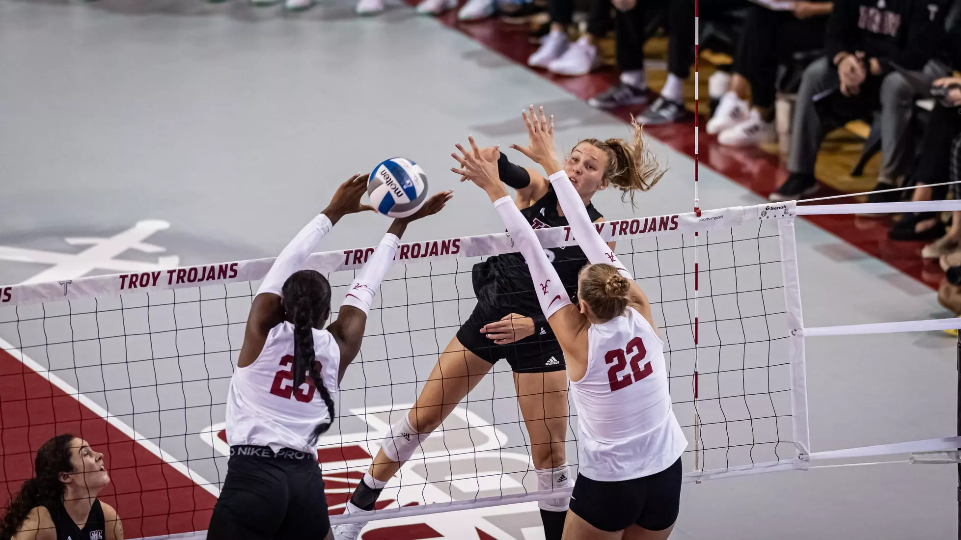 2023 Troy VB vs. Alabama _ Chris Davis