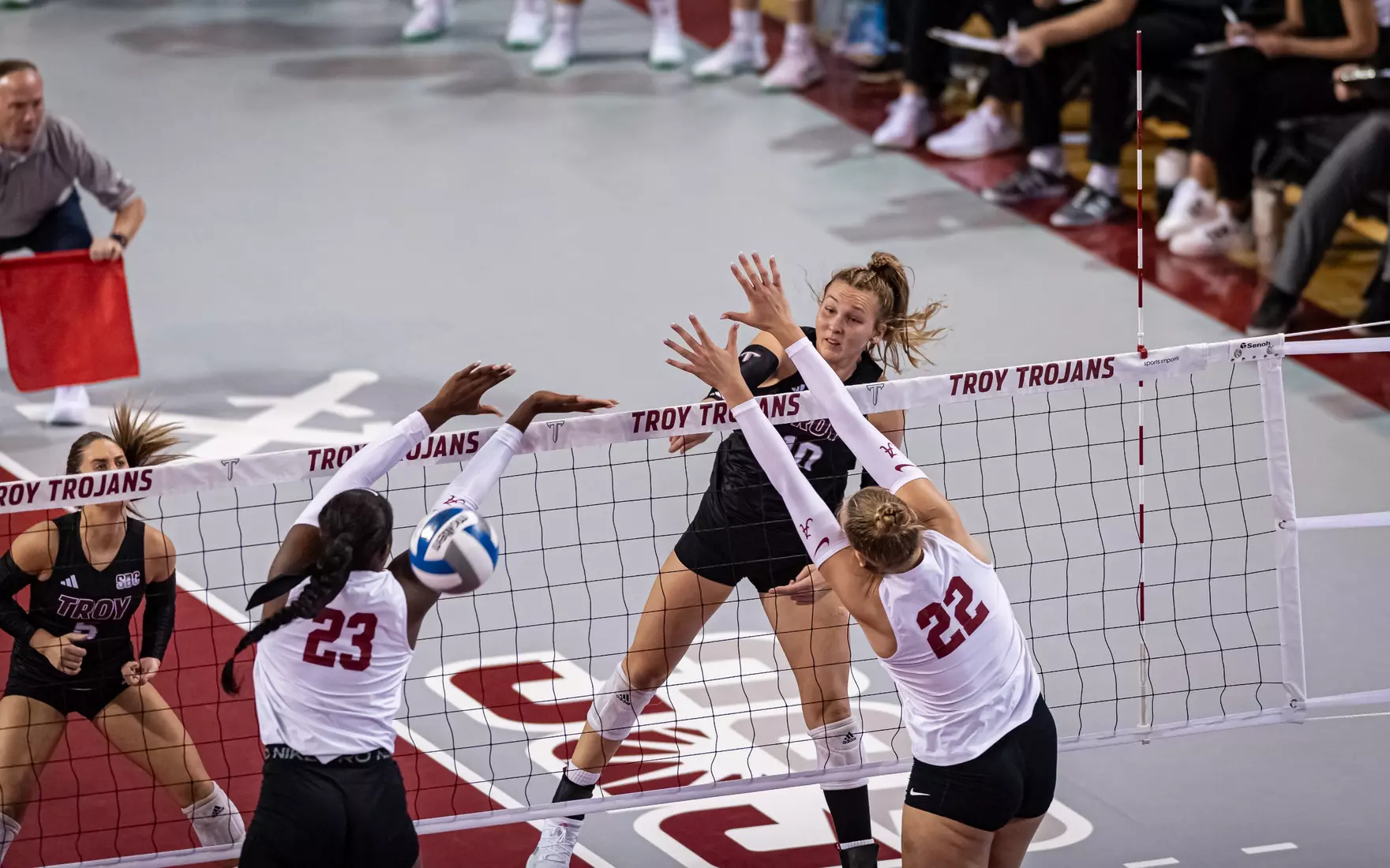 2023 Troy VB vs. Alabama _ Chris Davis