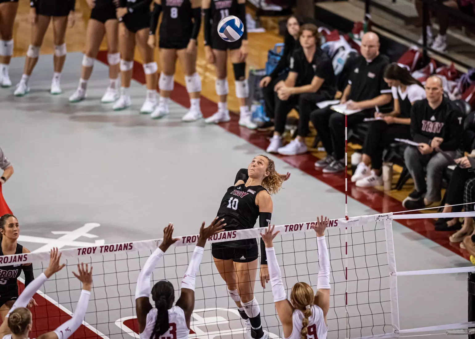 2023 Troy VB vs. Alabama _ Chris Davis