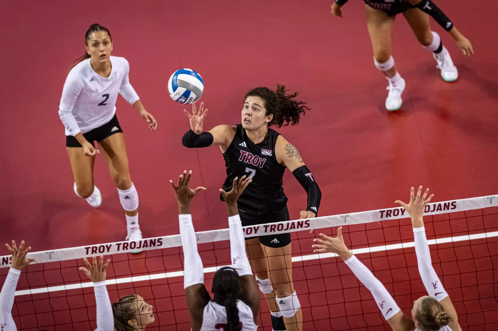 2023 Troy VB vs. Alabama _ Chris Davis