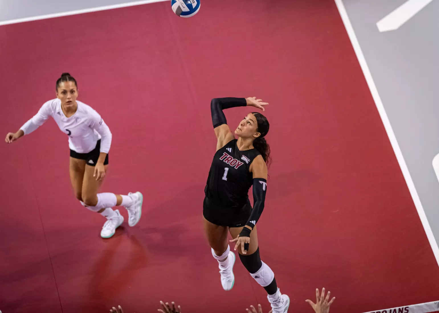 2023 Troy VB vs. Alabama _ Chris Davis