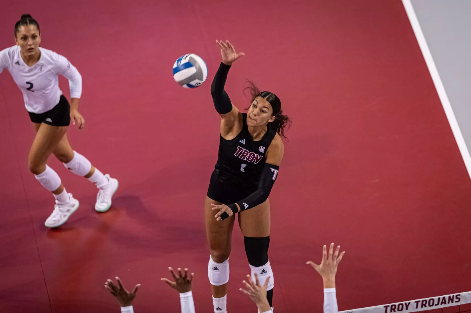 2023 Troy VB vs. Alabama _ Chris Davis